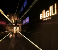 Bilgili Holding